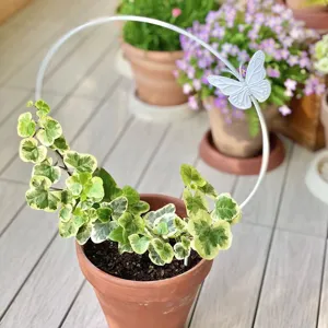 Garten Pflanzen Rankhilfe mit Schmetterling Metall Stuetze fuer kletternde Toepfe und Blumen.