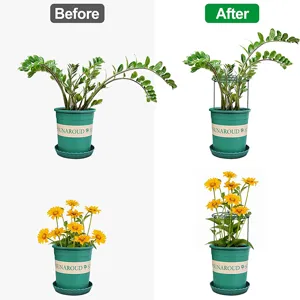 Plant support stakes for potted plants, green iron ring garden trellis for climbing plants.