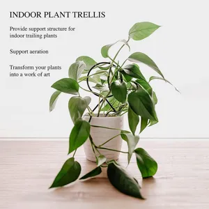 Kamerplant klimrek detail metalen ondersteuning staak voor potplanten klimplanten