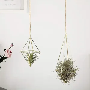 Geometrischer Metall Luftpflanzenhalter Detailansicht, goldener Hänge-Terrarium-Pflanztopf.