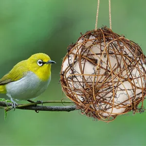 Natürlicher Rattan Vogel Nistball, hängendes Kauspielzeug für Papageien Kolibris, Outdoor.