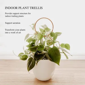 Plantensteun metalen ring klimrek voor kamerplanten en groene hangplanten in pot decor.