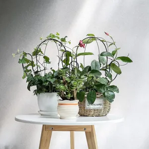 Vista dettagliata dei supporti per piante rampicanti in metallo nero per eleganti piante da giardino.