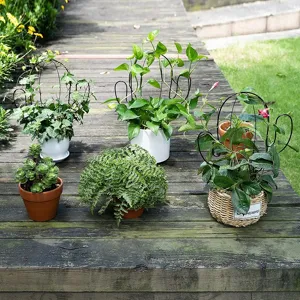 Supporto per piante in ferro battuto per piante rampicanti vaso da giardino decoro