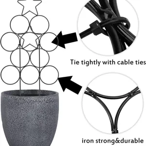 Schwarze Eisen Pflanze Kletterhilfe Stuetze Staender mit Ringen und Stern Design.