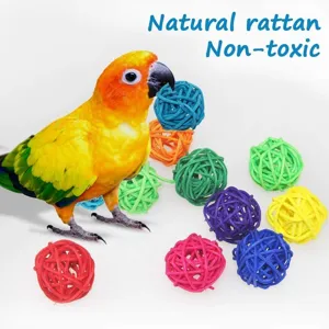 Farbige natürliche Rattanball-Details mit bunten Farben und Papagei Haustierspielzeug.