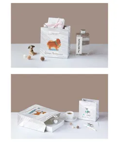 Kreative minimalistische Geschenktüte aus Papier mit niedlichen Hunde-Illustrationen zum Geburtstag.