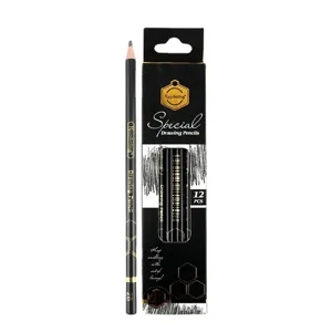 Professional Sketching Pencils Set Graphite Drawing Pencils For Artists Beginners Art Students Office School Supplies