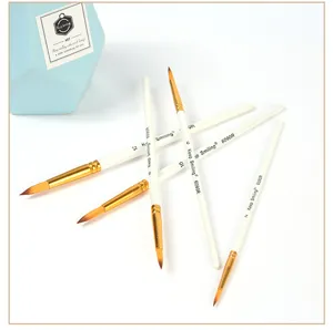 Professional 5pcs nylon hair paint brush set with white wood handle for acrylic painting.