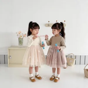 Toddler girls spring long sleeve knit mesh spliced dress details, cute bubble play scene.