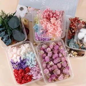 DIY bunte getrocknete Blumen konservierte Blumen Set in transparenten Boxen Deko