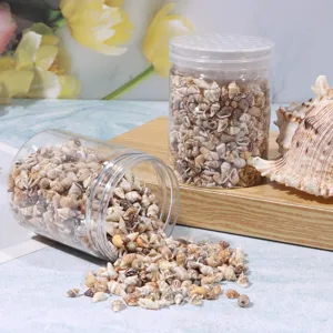 125g canned natural small seashells for DIY craft ocean bottle fish tank landscaping accessories