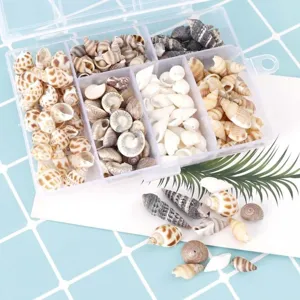 Natural Mixed Spiral Sea Shells Craft Decoration DIY Jewelry Making Natural Seashells Crafting Supplies Assortment