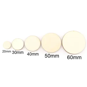 Disques en bois de 20 a 60mm, ideaux pour les loisirs creatifs, la peinture et la sculpture.