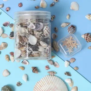 Conchiglie naturali e stella marina mix fai da te bottiglia oceano accessorio dettaglio