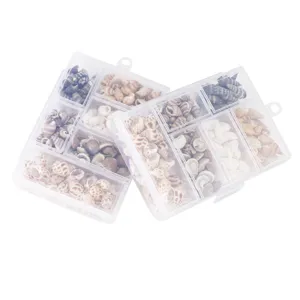 Natural mixed spiral seashells and conches in transparent storage box for DIY crafts.