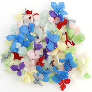 Multicolor 3D gedroogde bloemen voor nail art en DIY sieraden decoratie, levendige blaadjes.