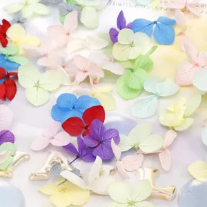 Kleurrijke nail art gedroogde bloemen en 3D geconserveerde echte bloemen voor DIY-projecten.