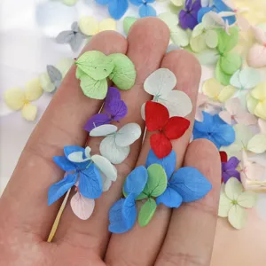 Kleurrijke 3D geconserveerde gedroogde bloemen voor nail art en DIY ambachtelijke details.