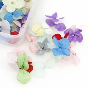 Kleurrijke gedroogde bloemen voor nail art, verpakte echte geconserveerde bloemen voor DIY.