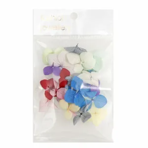 Kleurrijke gemengde echte gedroogde bloemen voor 3D nail art decoratie en DIY ambachten.