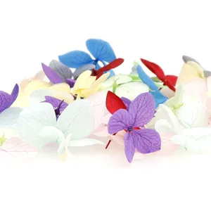 Kleurrijke gedroogde bloemen voor nail art en 3D geconserveerde echte bloemen DIY.