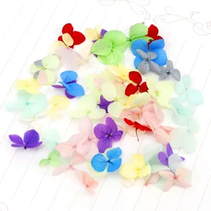 Gemengde gedroogde bloemblaadjes voor nail art en DIY ambachten, natuurlijke bloemen.