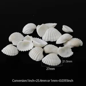 Petits coquillages pétoncles blancs naturels pour déco maison aquarium aménagement DIY