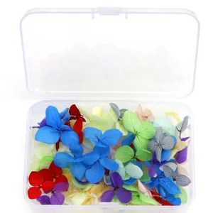 Kleurrijke gedroogde bloemen voor nail art DIY, doosje gemengde geconserveerde bloemen.