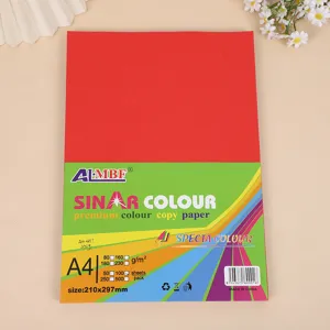 A4 colored cardstock paper pack, premium copy paper for art, school crafts, and office printing.