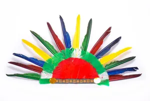 Détail de coiffe en plumes colorées, accessoire de costume de chef indien pour fête d'enfants.