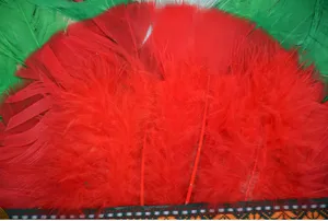 Gros plan détaillé de coiffe en plumes colorées, plumes rouges et vertes vives avec bandeau tissé.