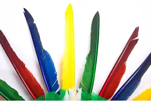 Détail de coiffe en plumes colorées, parfait pour le cosplay de fête d'enfants et déguisement.
