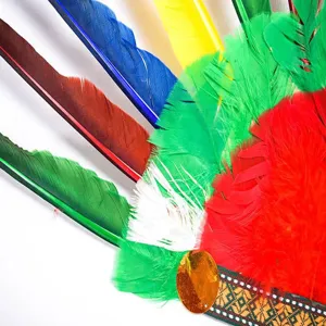 Gros plan détaillé d'une coiffe en plumes colorées, plumes multicolores et bande à motifs.