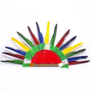 Coiffe de Chef Indien Enfant Plumes Colorées Déguisement Fête Costume Principal