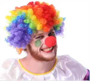 Kleurrijke clown pruik en rode schuimstof neus kostuum set voor Halloween feestkleding.