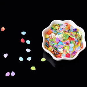 Irisierende Muschel Pailletten Glitzerteile für DIY Handwerk, Schleim Füllung und Kostüme.