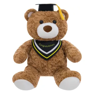 Niedlicher Abschluss Teddybär Plüschtier mit Doktorhut und Schärpe für Studenten.