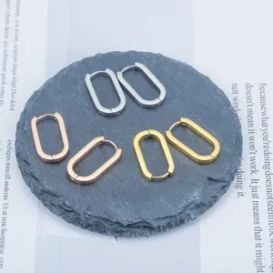 Minimalist Titanium Steel Oval Hoop Earrings For Women Gold Plated Geometric Geometric Hinged Stud Earrings Fashion Jewelry Gift