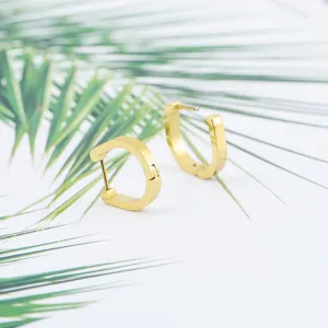Pendientes de Aro Ovalados en Forma de U de Acero Inoxidable Minimalistas Oro Oro Rosa Plata Joyería Para Mujer