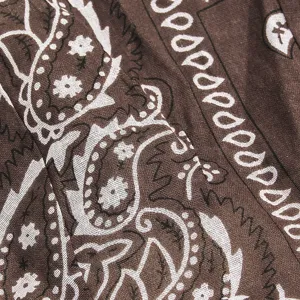 Braune Paisley Stoff Nahaufnahme Detail, zeigt klare Vintage Bandana Muster Textur.