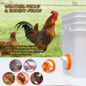 Automatic chicken feeder detail showing rainproof and rodent-proof port design for poultry.