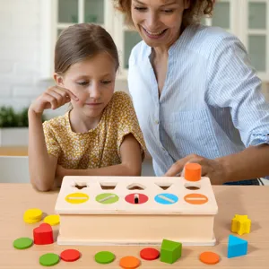 Montessori wooden shape sorter toy for toddlers, educational color matching puzzle for kids.