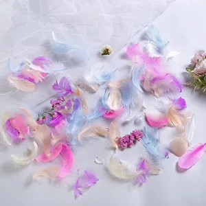 Colorful macaron feathers for DIY crafts and bobo balloon filler, soft fluffy goose feathers.