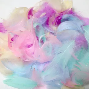 Colorful macaron feathers for DIY crafts and bobo balloon fillers, fluffy dyed goose.