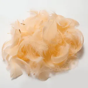 Fluffy macaron colored craft feathers for DIY balloons and party decoration fillers.