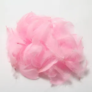 Detailed view of fluffy light pink macaron feathers, perfect for DIY crafts and balloon fillers.