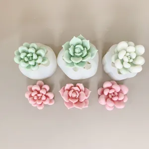 Close-up view of succulent silicone molds and finished pink pieces for DIY crafts.