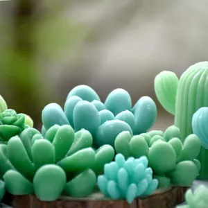 Detailed close-up of succulent silicone mold texture, showing vivid green details clearly.