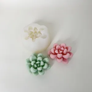 Silicone mold for succulent plant scented candles, handmade DIY soap and plaster.